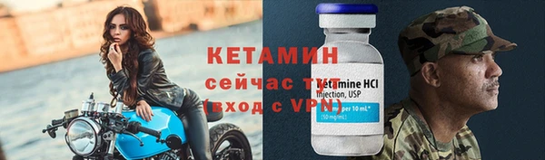 индика Новодвинск