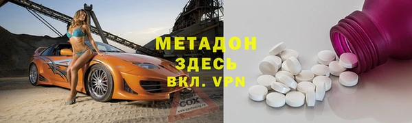 индика Новодвинск