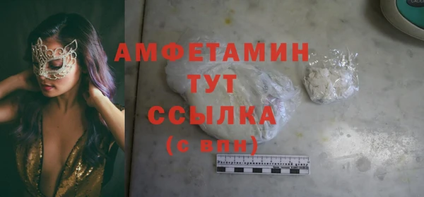 индика Новодвинск