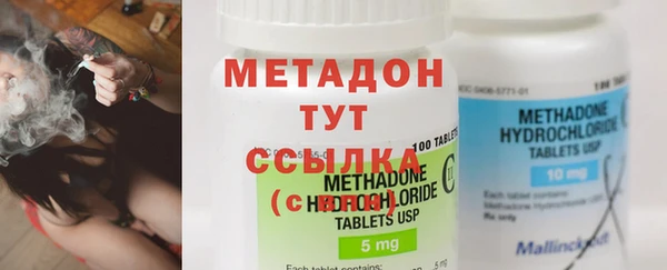 индика Новодвинск