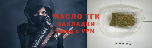 индика Новодвинск