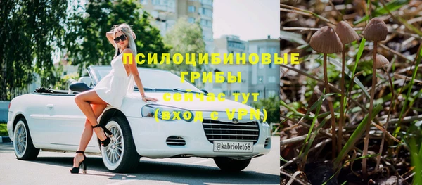 тгк Новокубанск
