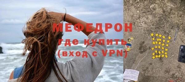 индика Новодвинск