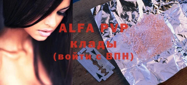 индика Новодвинск