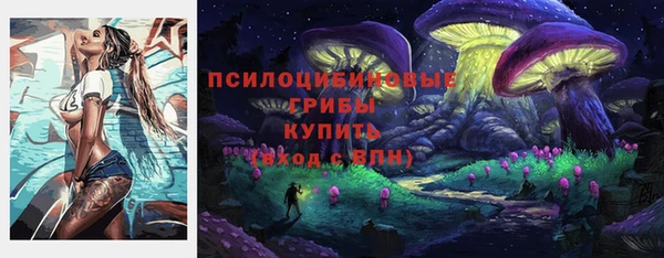 индика Новодвинск