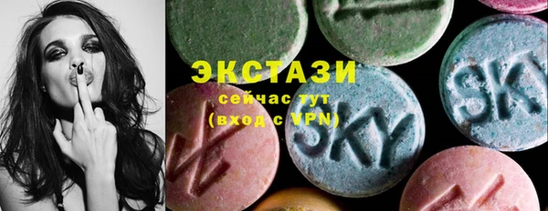 индика Новодвинск
