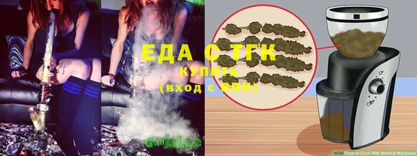 индика Новодвинск